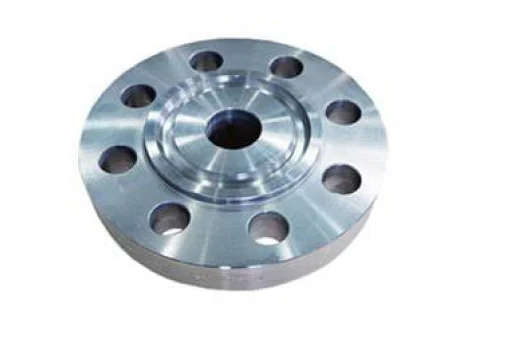310s Ring Type Joint Flange